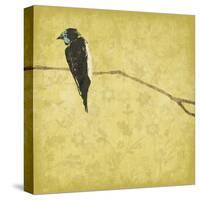 Birds On Branch-Jace Grey-Stretched Canvas