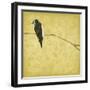 Birds On Branch-Jace Grey-Framed Art Print