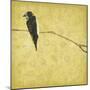 Birds On Branch-Jace Grey-Mounted Art Print