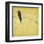 Birds On Branch-Jace Grey-Framed Art Print