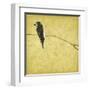 Birds On Branch-Jace Grey-Framed Art Print
