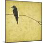Birds On Branch-Jace Grey-Mounted Art Print