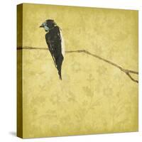 Birds On Branch-Jace Grey-Stretched Canvas