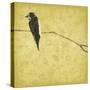 Birds On Branch-Jace Grey-Stretched Canvas