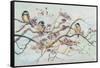 Birds On Cherry Blossom Branch-Patricia Pinto-Framed Stretched Canvas