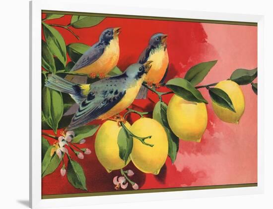 Birds on Lemon Branch - Citrus Crate Label-Lantern Press-Framed Art Print