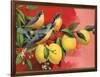 Birds on Lemon Branch - Citrus Crate Label-Lantern Press-Framed Art Print