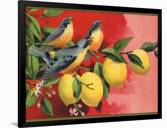 Birds on Lemon Branch - Citrus Crate Label-Lantern Press-Framed Art Print