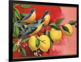 Birds on Lemon Branch - Citrus Crate Label-Lantern Press-Framed Art Print