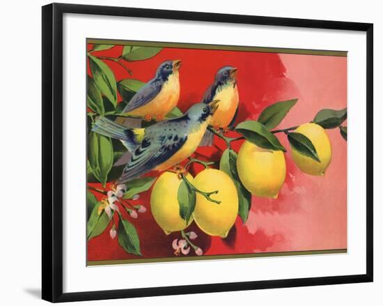 Birds on Lemon Branch - Citrus Crate Label-Lantern Press-Framed Art Print