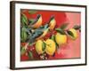 Birds on Lemon Branch - Citrus Crate Label-Lantern Press-Framed Art Print