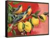 Birds on Lemon Branch - Citrus Crate Label-Lantern Press-Framed Stretched Canvas