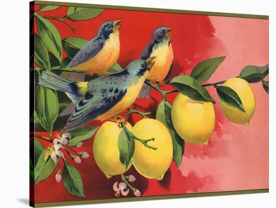 Birds on Lemon Branch - Citrus Crate Label-Lantern Press-Stretched Canvas