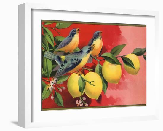 Birds on Lemon Branch - Citrus Crate Label-Lantern Press-Framed Art Print