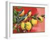 Birds on Lemon Branch - Citrus Crate Label-Lantern Press-Framed Art Print