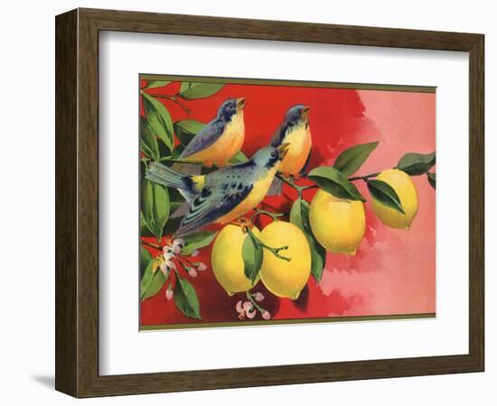 Birds on Lemon Branch - Citrus Crate Label-Lantern Press-Framed Art Print