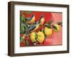 Birds on Lemon Branch - Citrus Crate Label-Lantern Press-Framed Art Print