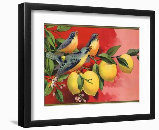 Birds on Lemon Branch - Citrus Crate Label-Lantern Press-Framed Art Print