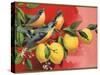 Birds on Lemon Branch - Citrus Crate Label-Lantern Press-Stretched Canvas