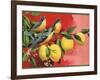 Birds on Lemon Branch - Citrus Crate Label-Lantern Press-Framed Art Print