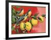 Birds on Lemon Branch - Citrus Crate Label-Lantern Press-Framed Art Print