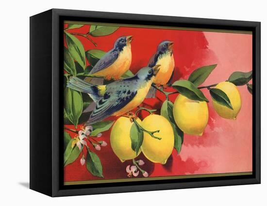 Birds on Lemon Branch - Citrus Crate Label-Lantern Press-Framed Stretched Canvas