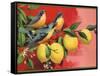 Birds on Lemon Branch - Citrus Crate Label-Lantern Press-Framed Stretched Canvas