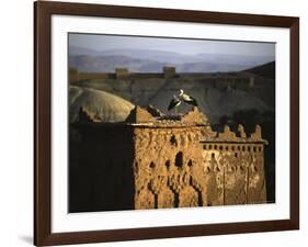 Birds on Structure, Morocco-Michael Brown-Framed Photographic Print