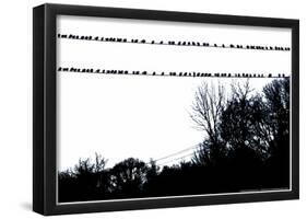 Birds on Telephone Wires-null-Framed Poster