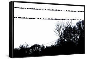 Birds on Telephone Wires-null-Framed Stretched Canvas