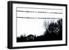 Birds on Telephone Wires-null-Framed Photo
