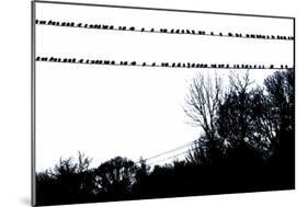 Birds on Telephone Wires-null-Mounted Photo