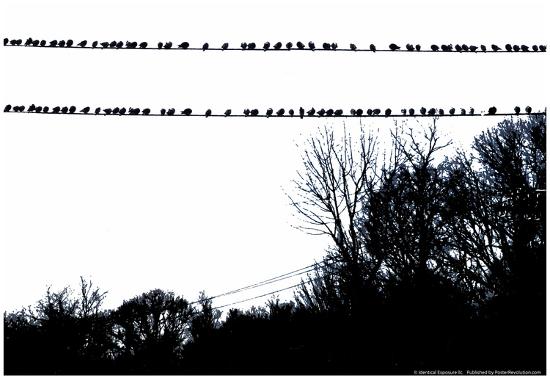 Poster, , large
