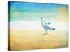 Birds On The Beach-Jace Grey-Stretched Canvas