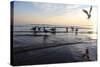 Birds on the Sunset. Seagulls at Sunset on the Sea Coast.-antshev-Stretched Canvas
