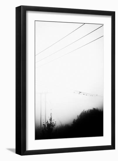 Birds On the Wire-Rory Garforth-Framed Photographic Print