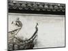 Birds on tiled roof in Xidi, China-Yang Liu-Mounted Photographic Print