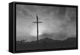 Birds on Wire, Evening-Ansel Adams-Framed Stretched Canvas
