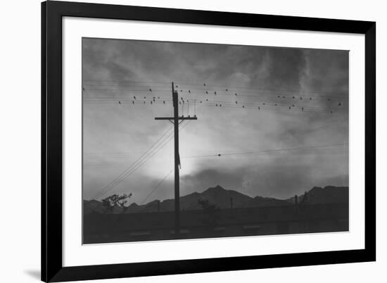 Birds on Wire, Evening-Ansel Adams-Framed Premium Giclee Print