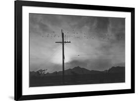 Birds on Wire, Evening-Ansel Adams-Framed Premium Giclee Print