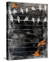 Birds on Wire II-Irena Orlov-Stretched Canvas