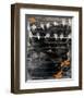 Birds on Wire II-Irena Orlov-Framed Art Print