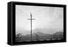 Birds on Wire-Ansel Adams-Framed Stretched Canvas