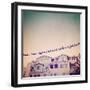 Birds on Wires I-Thomas Brown-Framed Photographic Print