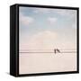 Birds on Wires II-Thomas Brown-Framed Stretched Canvas