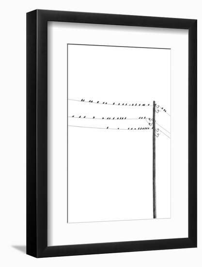 Birds on Wires-Incado-Framed Photographic Print