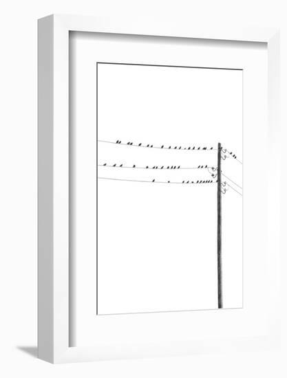 Birds on Wires-Incado-Framed Photographic Print