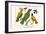 Birds, Oriole and Hummingbird-Albertus Seba-Framed Art Print