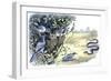 Birds: Passeriformes, Family of Western Scrub-Jay (Aphelocoma Californica)-null-Framed Giclee Print