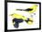 Birds: Passeriformes, Golden Oriole (Oriolus Oriolus)-null-Framed Giclee Print